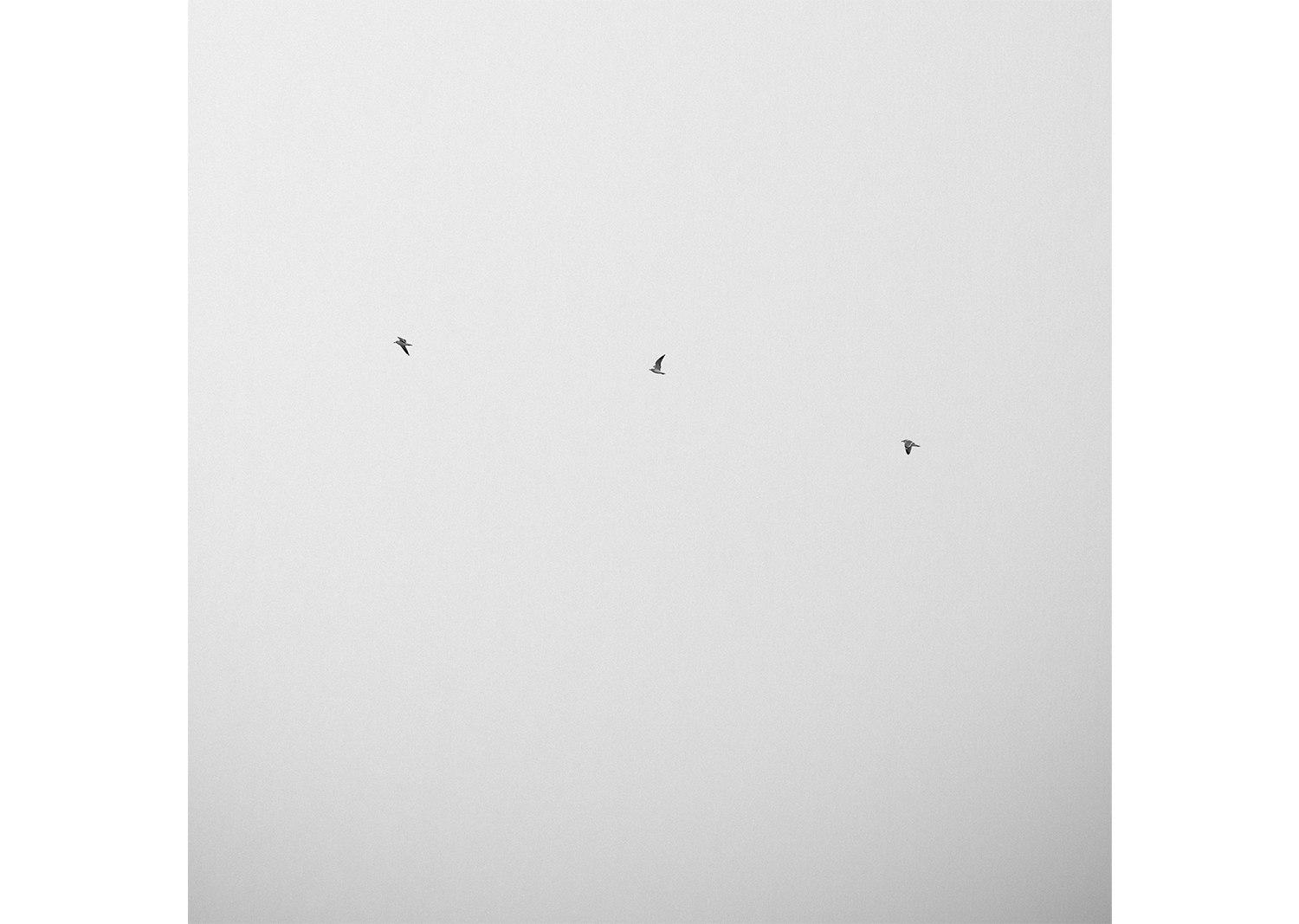 애송이의 여행, 30x30cm, 종이에 잉크, 2011@Traveller Novice, 30x30cm, pigment print, 2011